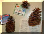 beeswax, pine cones, redwood crosses, magnets